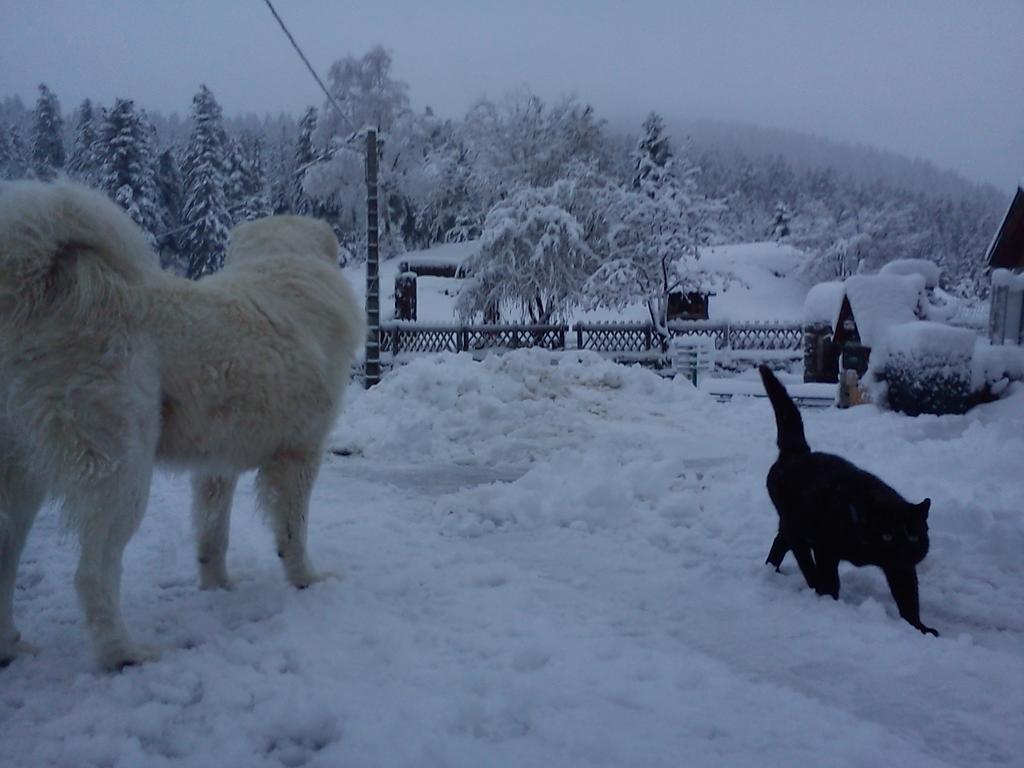 Hotel Les Chamois La Bollene-Vesubie Luaran gambar
